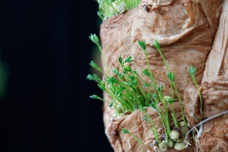 Meteoritengarten © tanz ist