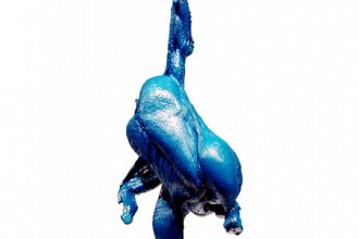 körperherzkörper © tanz ist