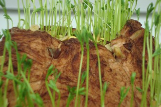 Meteoritengarten © tanz ist