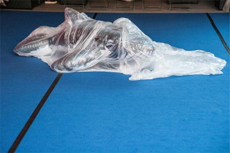 AIKO Kazuko Kurosaki / Young Community Dance © Stefan Hauer