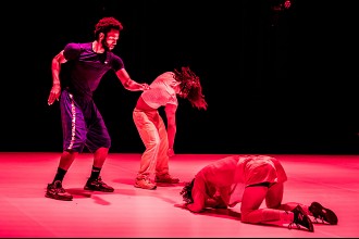 Clara Furey, Dog Rising © Stefan Hauer