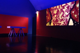 Installation Kalb © tanz ist