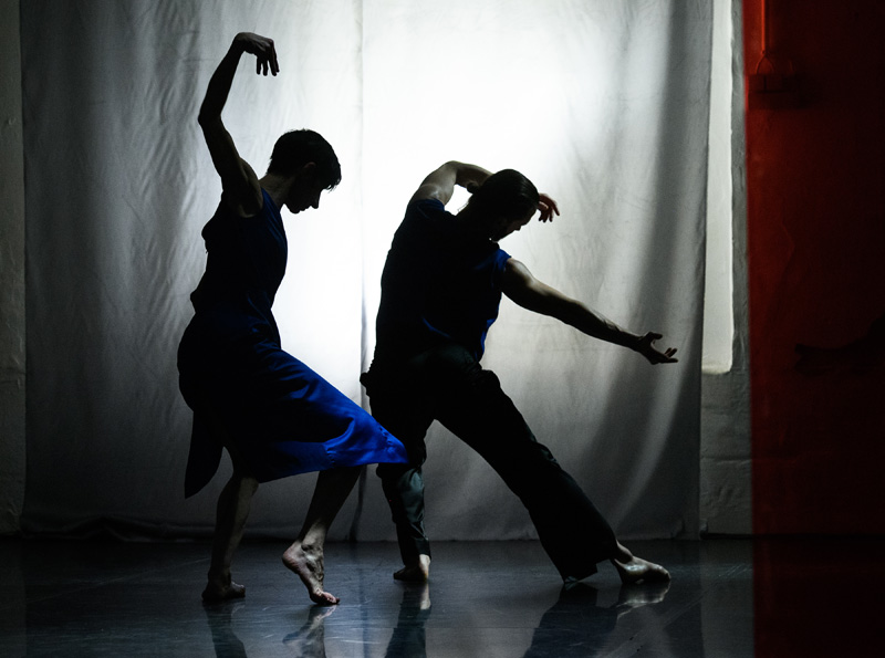 Laborgras © Phil Dera